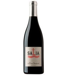 FINCA SANDOVAL SALIA TINTO