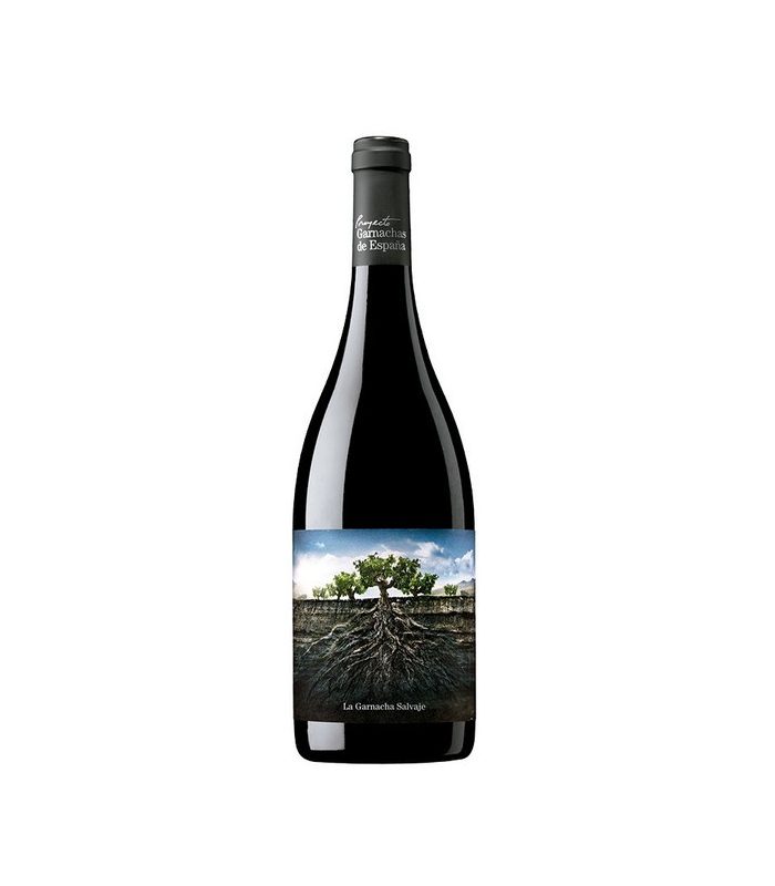 GARNACHA SALVAJE MONCAYO TINTO