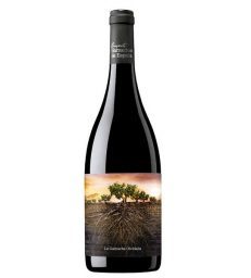 GARNACHA OLVIDADA ARAGON TINTO