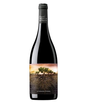 GARNACHA OLVIDADA ARAGON TINTO
