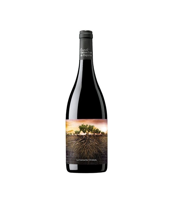 GARNACHA OLVIDADA ARAGON TINTO