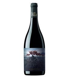 GARNACHA PERDIDA DEL PIRINEO TINTO