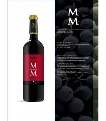 MASIA MONISTROL TINTO