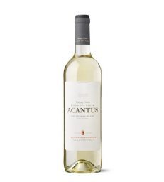 ACANTUS BLANCO