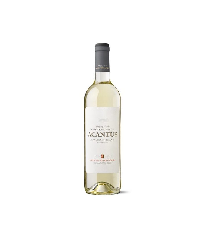 ACANTUS BLANCO
