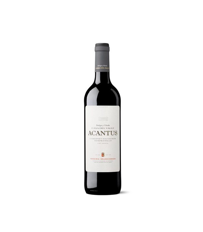 ACANTUS TINTO