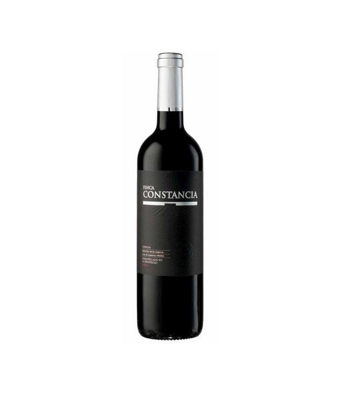 FINCA CONSTANCIA TINTO