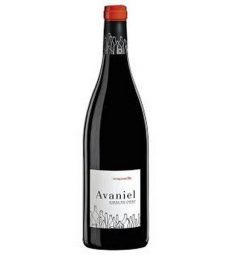 AVANIEL TINTO JOVEN
