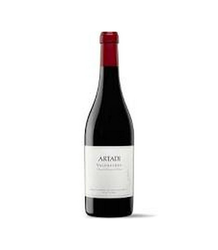 ARTADI VALDEGINES