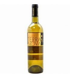 TERRA NOVA AÑARES VERDEJO