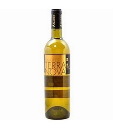 TERRA NOVA AÑARES VERDEJO
