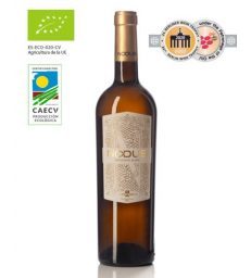 NODUS SAUVIGNON BLANC