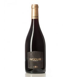 NODUS SUMMUN TINTO