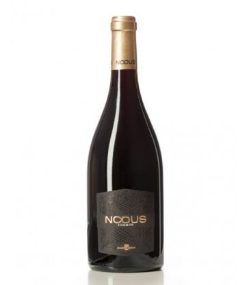 NODUS SUMMUN TINTO