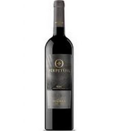 PERPETUAL TINTO