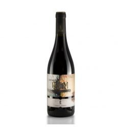 CASTAÑO GSM