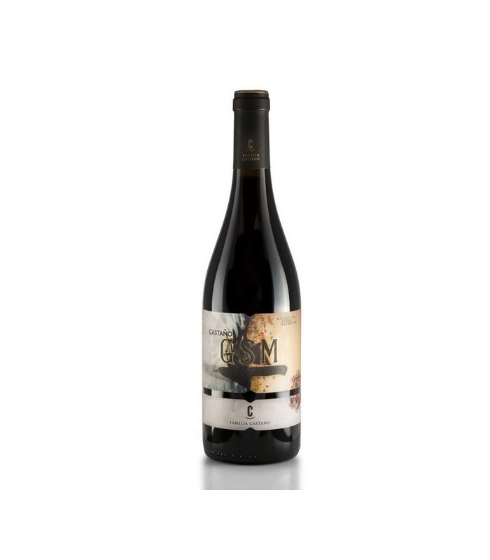 CASTAÑO GSM