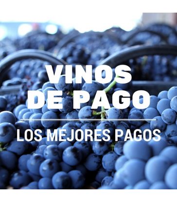 VINOS DE PAGO